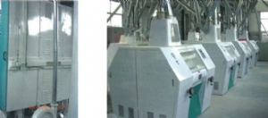 大米制粉生产线