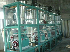 20吨面粉加工成套设备