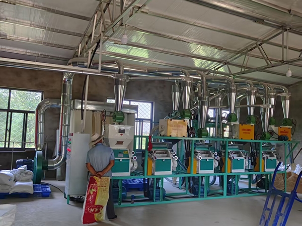 中型小麦加工生产线优势凸显，县域粮油厂升级优先选择鑫峰成套面粉设备